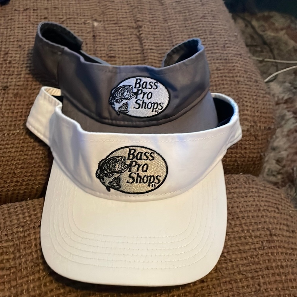 2 bass pro visors